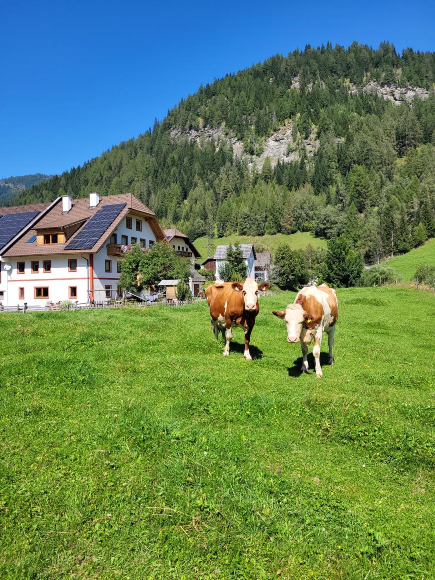 Unterlanschuetzhof Apartment