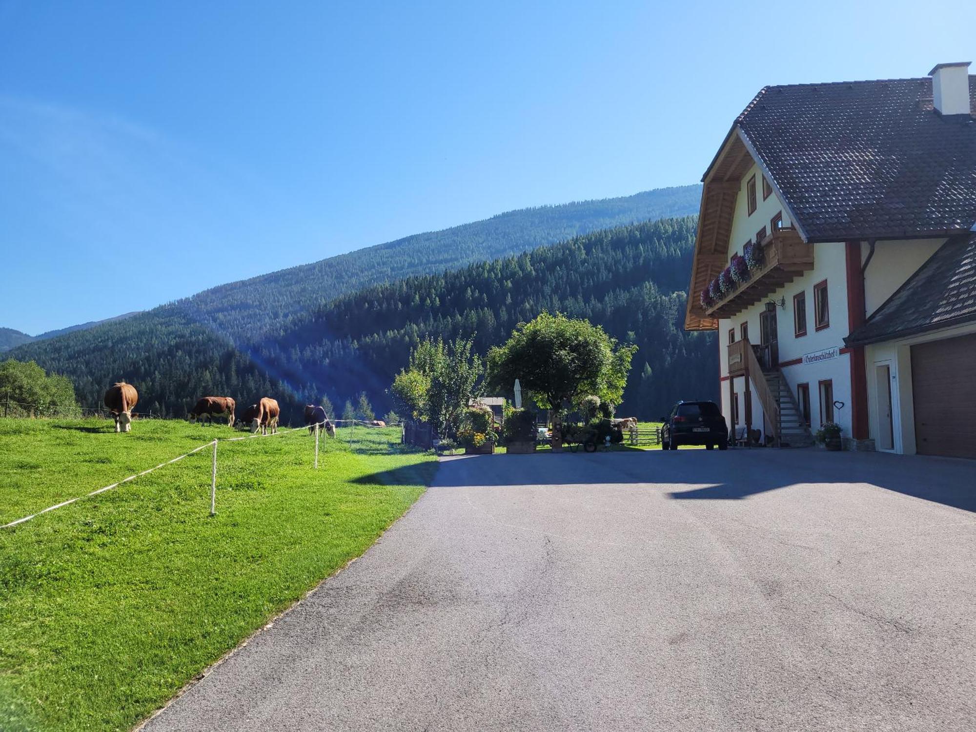Unterlanschuetzhof Apartment Sankt Michael im Lungau
